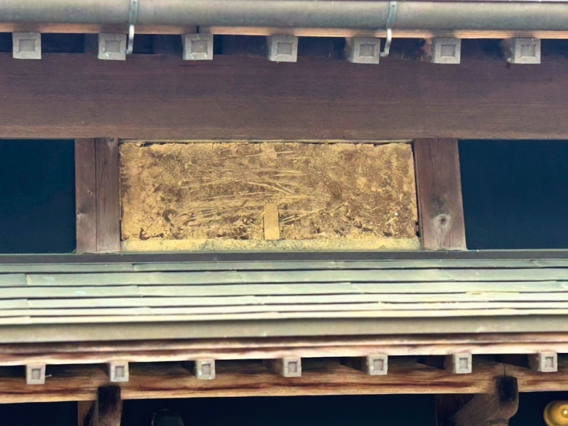 徳島県徳島市の一戸建ての外壁張り替え(カバー)（取替）の施工前｜株式会社煌工房の施工事例